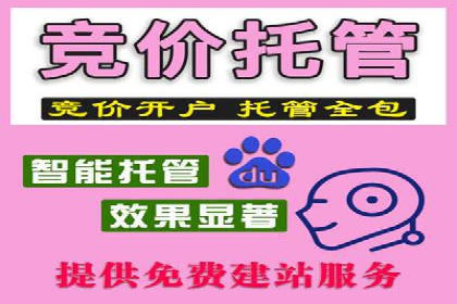 百度竞价代运营公司成功案例解析